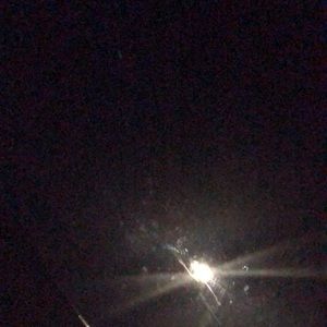 Meet your Posher, Daisy